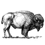 Safari: Brass, Bullets, Ammo